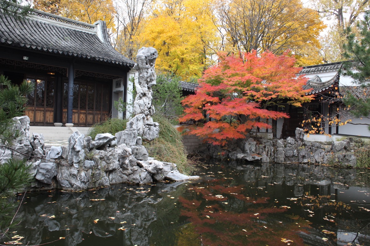 chinese scholars garden