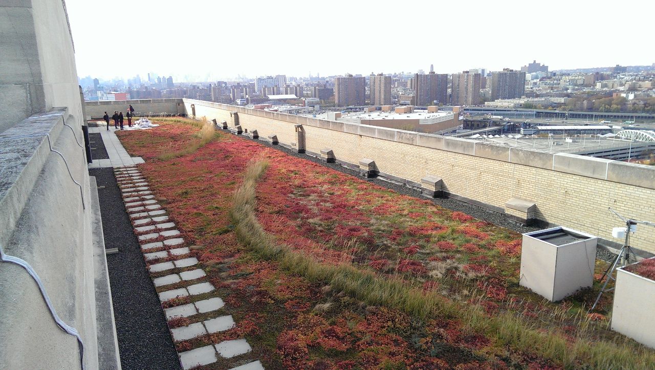 green roof