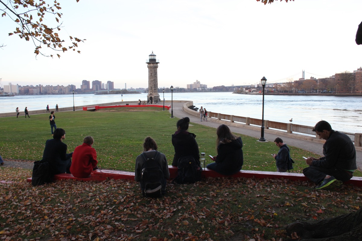 roosevelt island